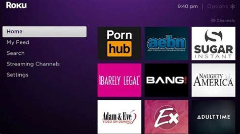 porn app for roku tv|Roku Porn: The Best Roku Porn Channels and Apps